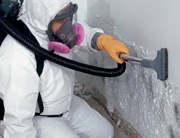 Mold Removal for HVAC Installations in Port Aransas, TX